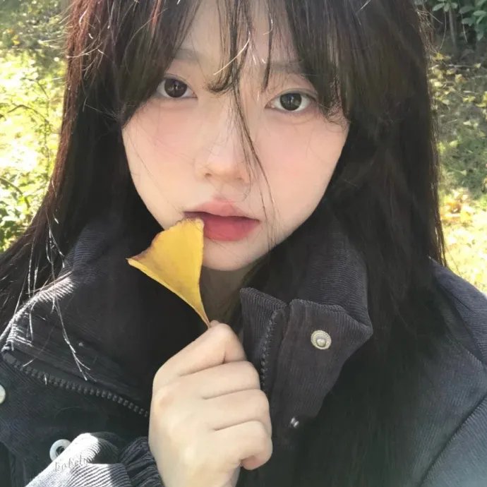 加州玩偶